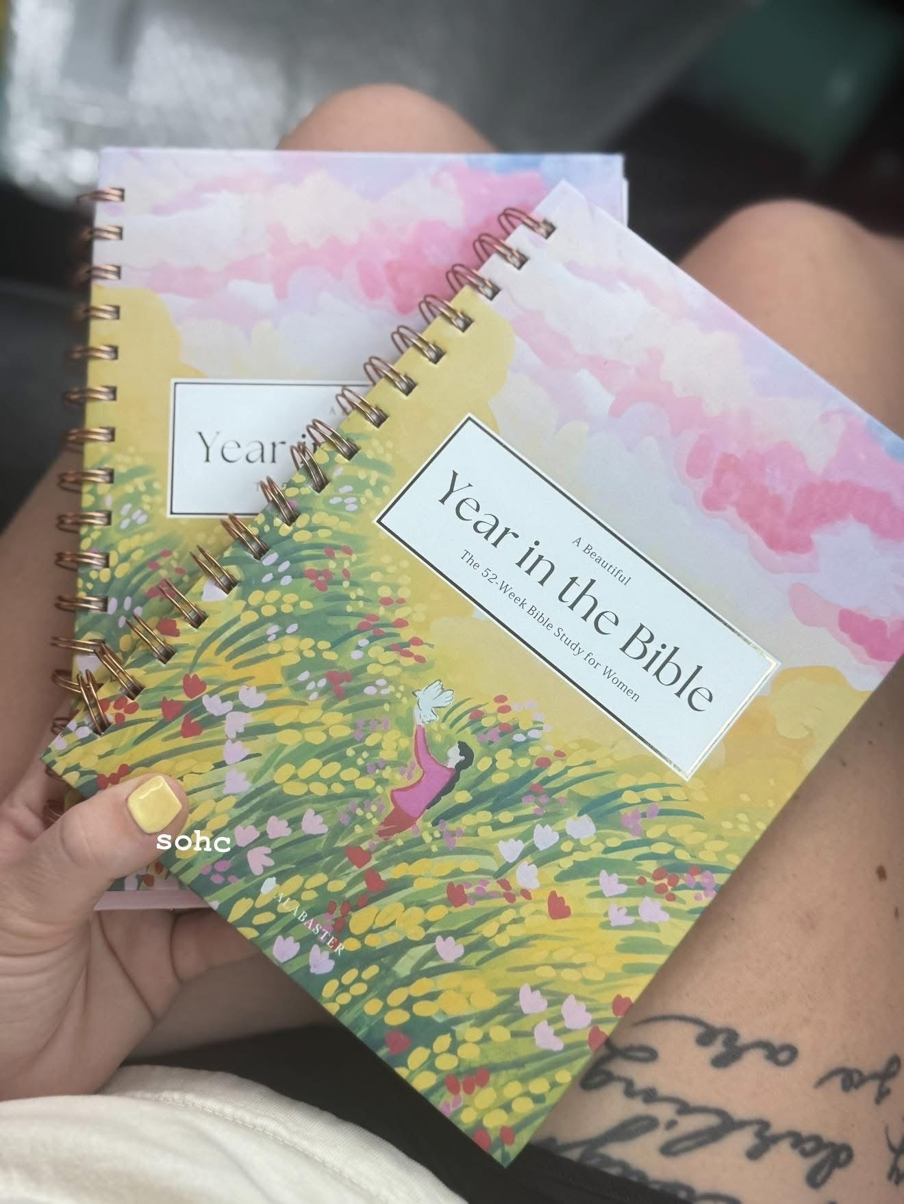 Year in Bible Preorder