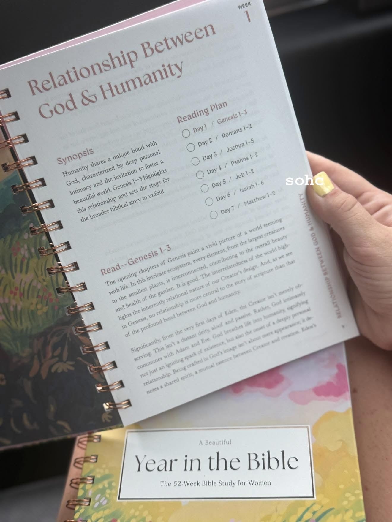 Year in Bible Preorder