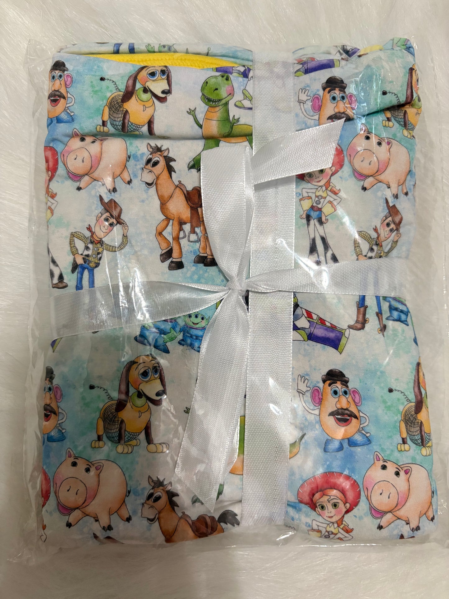 Toy Story 30x40 bamboo blanket